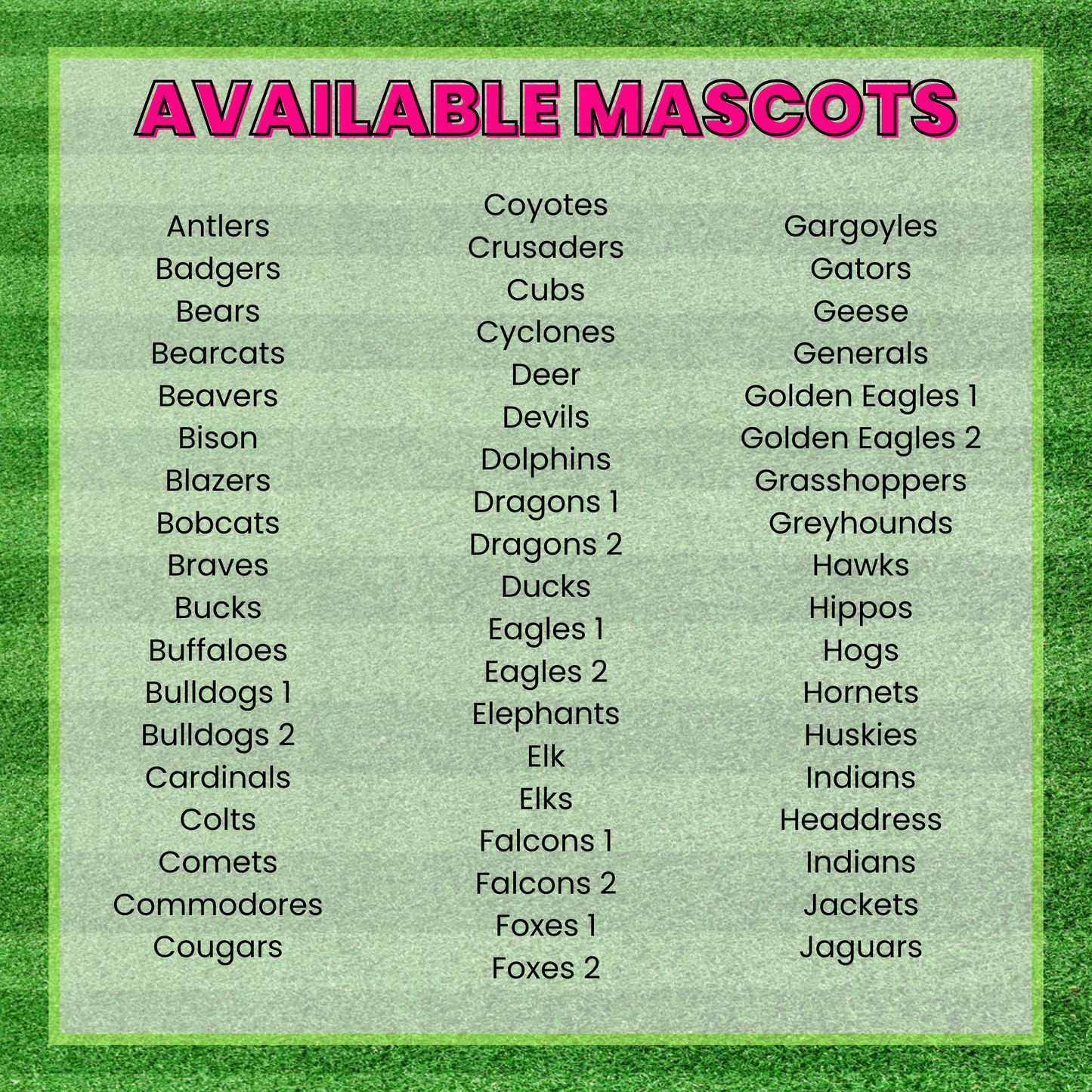 Let's Go Mascots Pink Brushstroke DTF TRANSFER