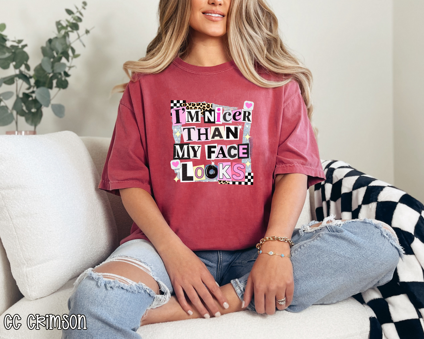 I'm Nicer Than My Face Looks DTF TRANSFER