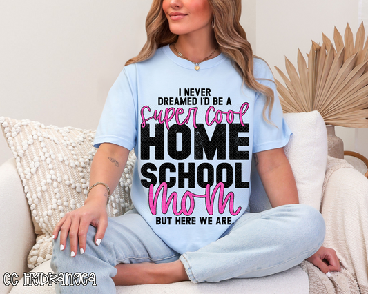 I Never Dreamed I'd Be a Home School Mom