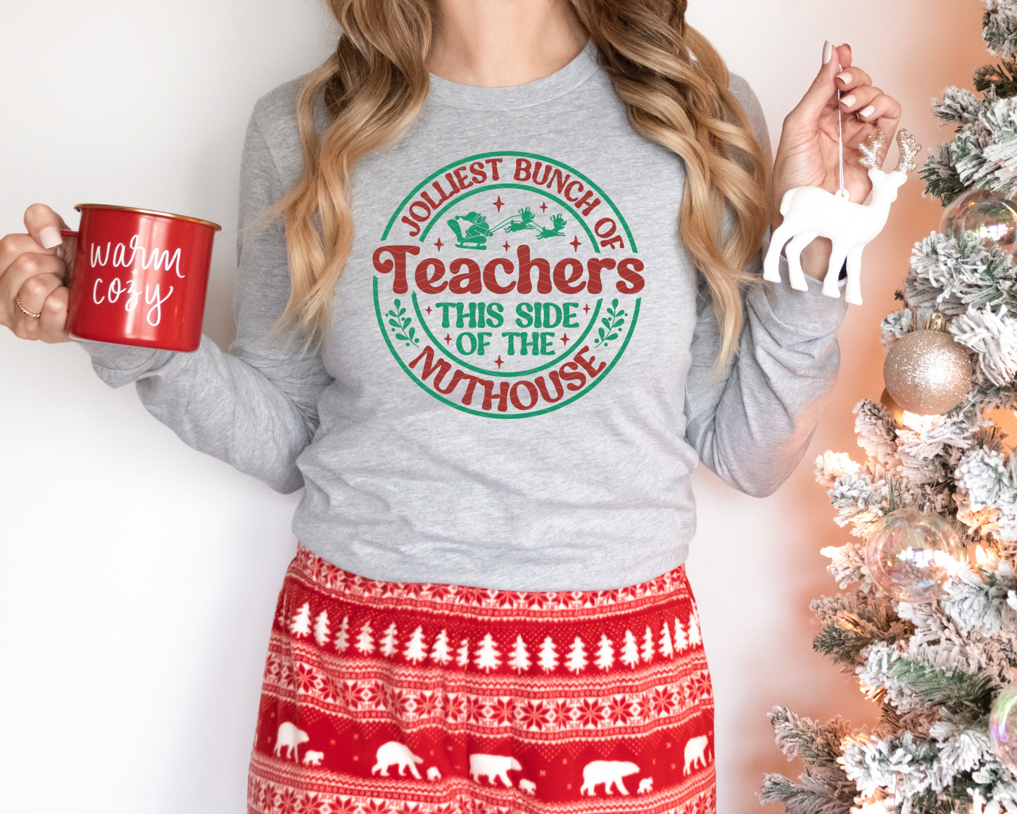 Jolliest Bunch of Teachers This Side of the Nuthouse DTF TRANSFER