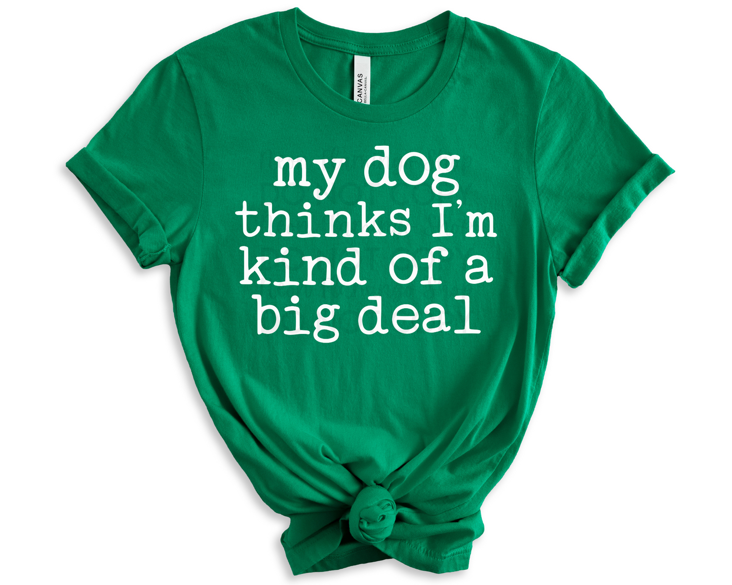 My Dog Thinks I'm Kind of A Big Deal