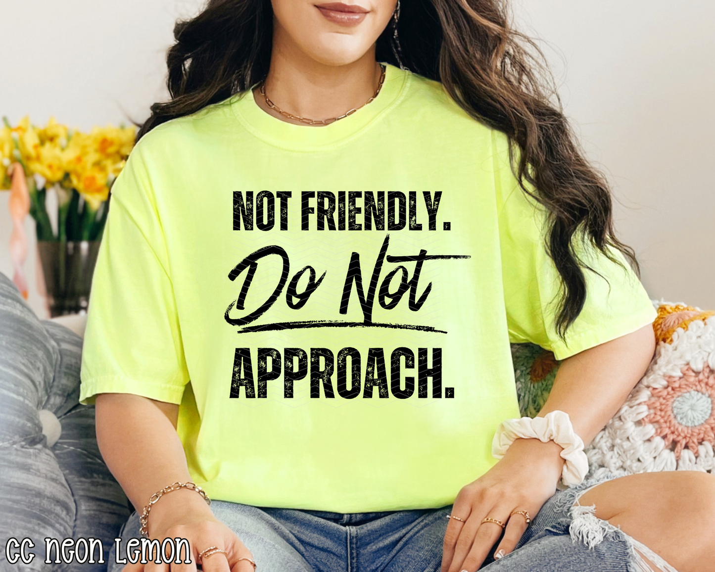 Not Friendly. Do Not Approach DTF TRANSFER