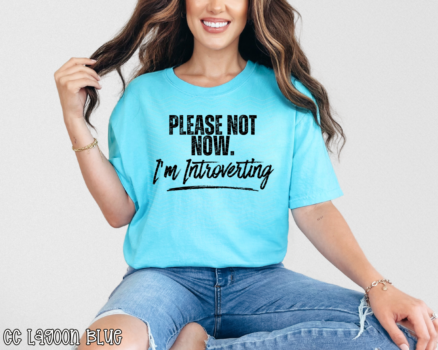 Please Not Now. I'm Introverting DTF TRANSFER