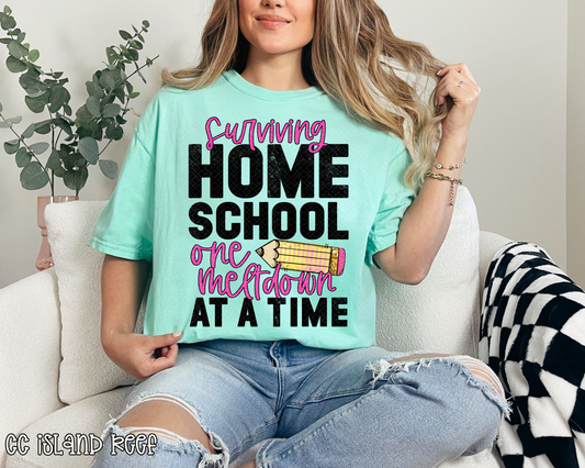 Surviving Home School One Meltdown At A Time