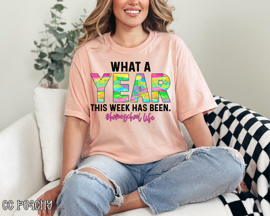 What A Year This Week Has Been Home School LIfe Tie-Dye