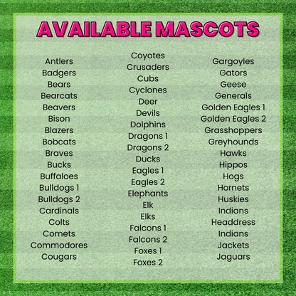 Let's Go Mascots Pink Brushstroke DTF TRANSFER