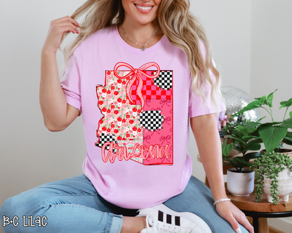 Pink Texas Checkered DTF TRANSFER