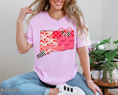 Pink Texas Checkered
