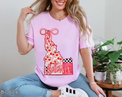 Pink Texas Checkered DTF TRANSFER