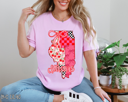 Pink Texas Checkered DTF TRANSFER