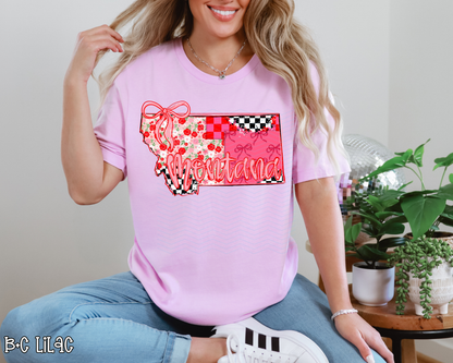 Pink Texas Checkered DTF TRANSFER