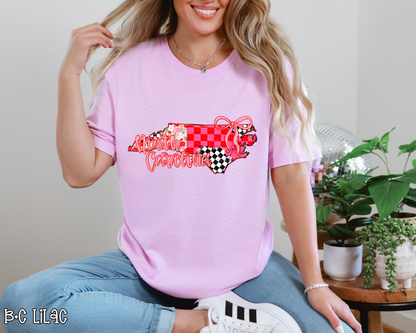 Pink Texas Checkered DTF TRANSFER