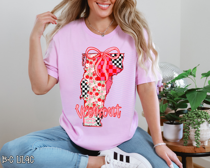 Pink Texas Checkered DTF TRANSFER