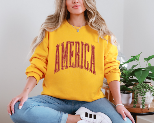America in DTF TRANSFER