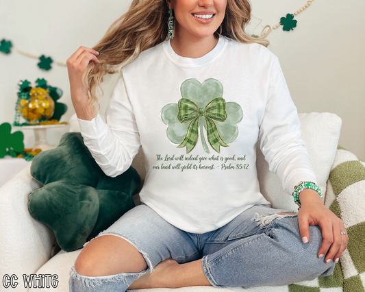 The Lord Will Indeed Give What is Good and Our Land Will Yield Its Harvest St Pat's Bow DTF TRANSFER