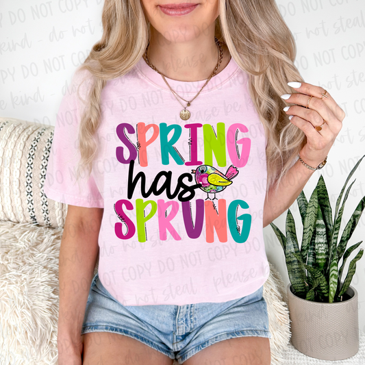 Spring Has Sprung DTF TRANSFER