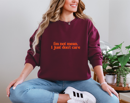 I m Not Mean I Just Don t Care DTF TRANSFER
