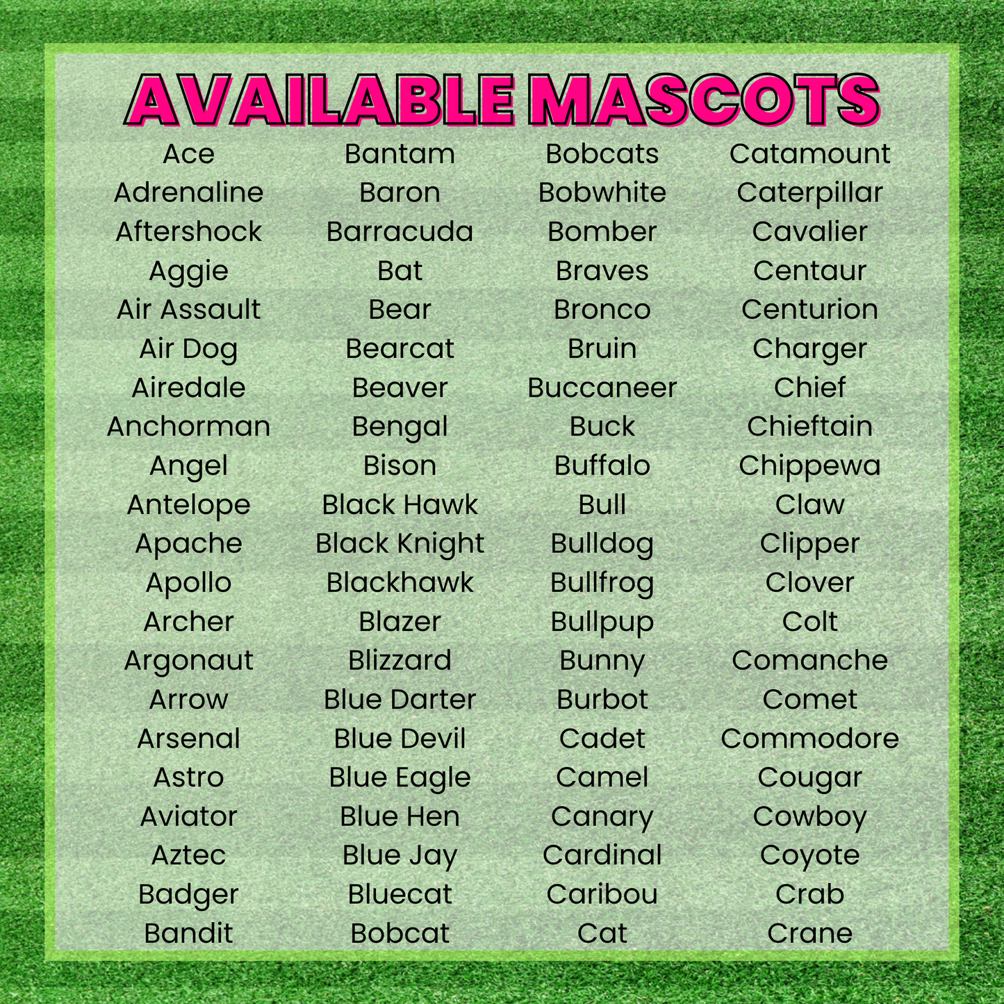 We Got That Mascot Spirit Leopard DTF TRANSFER