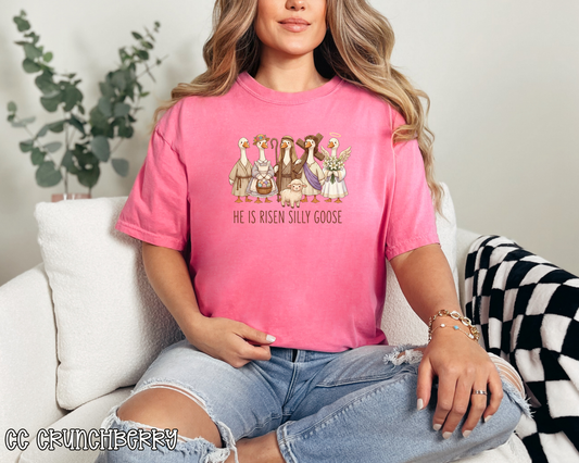 He Is Risen Silly Goose DTF TRANSFER
