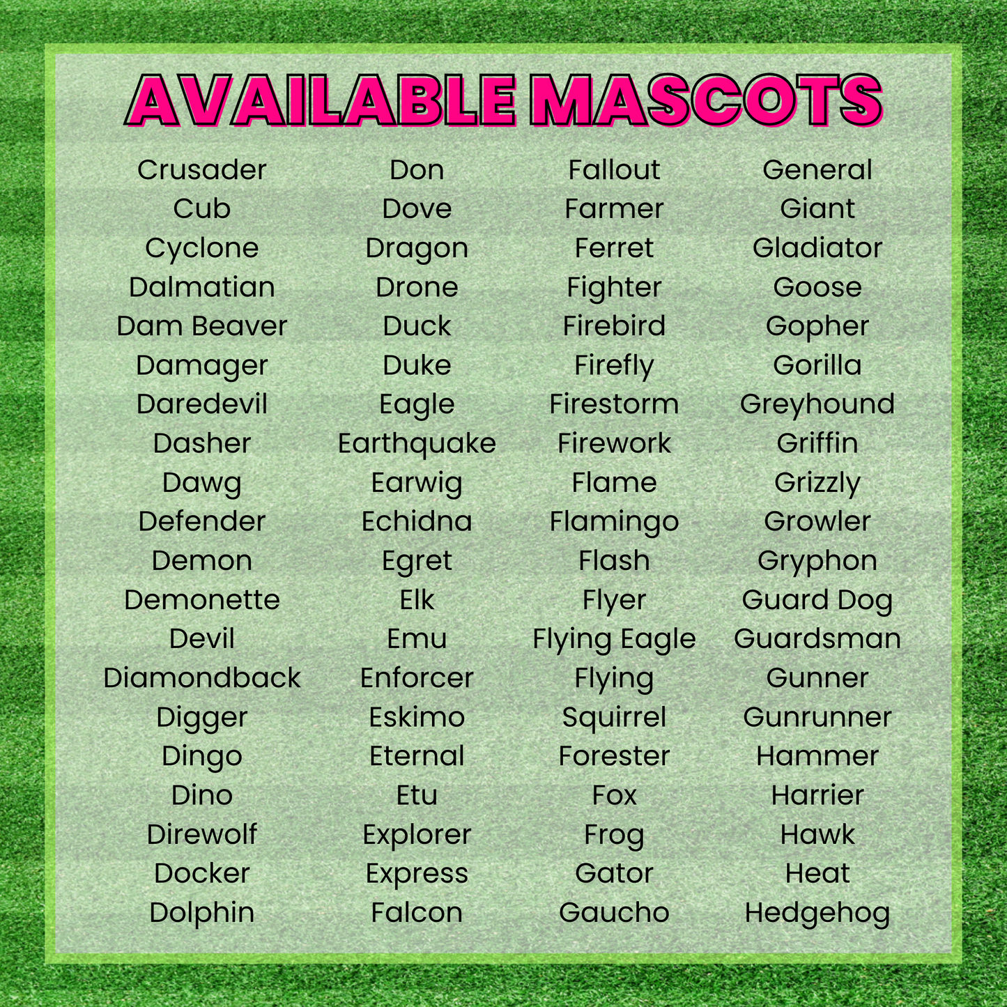 We Got That Mascot Spirit Leopard DTF TRANSFER