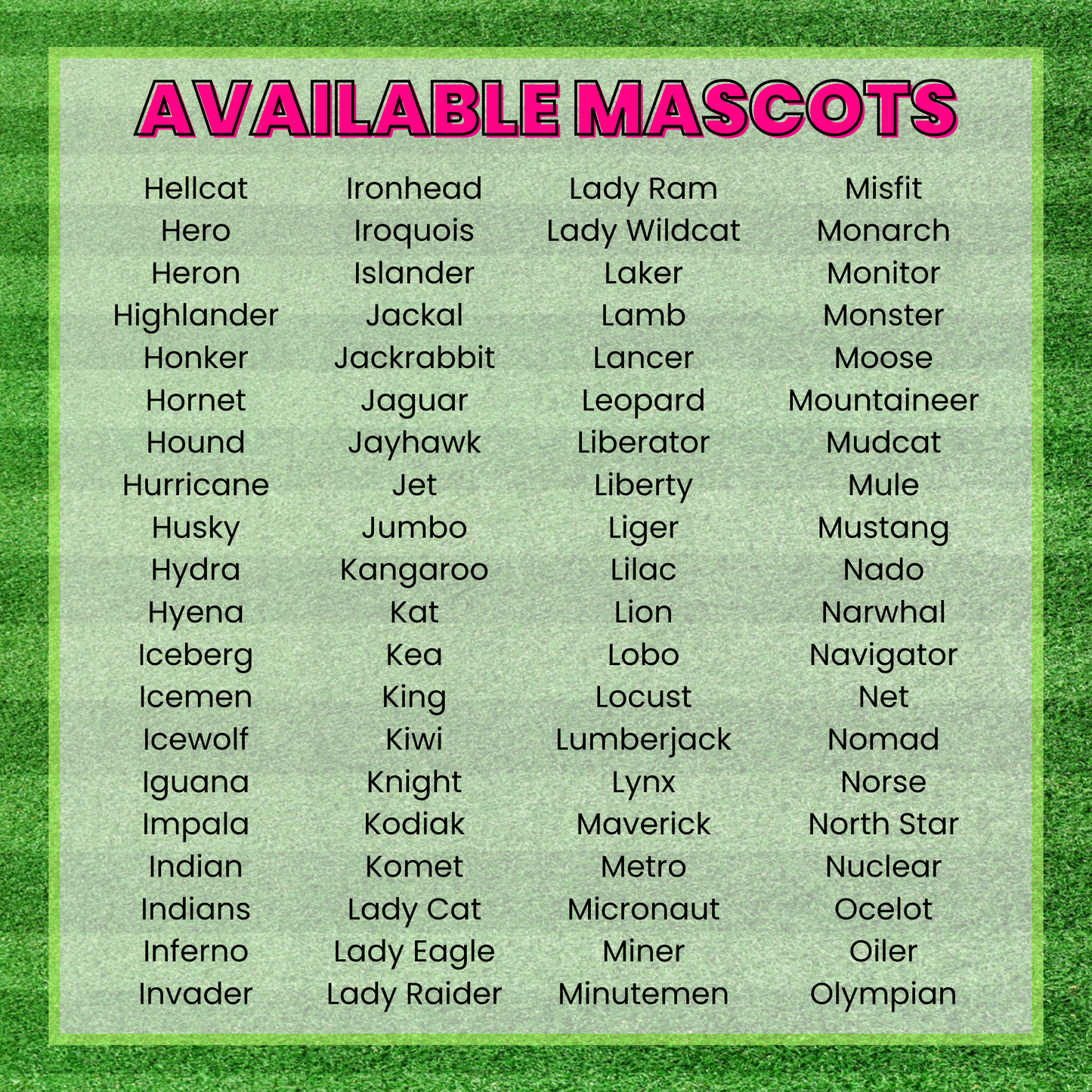 We Got That Mascot Spirit Leopard DTF TRANSFER