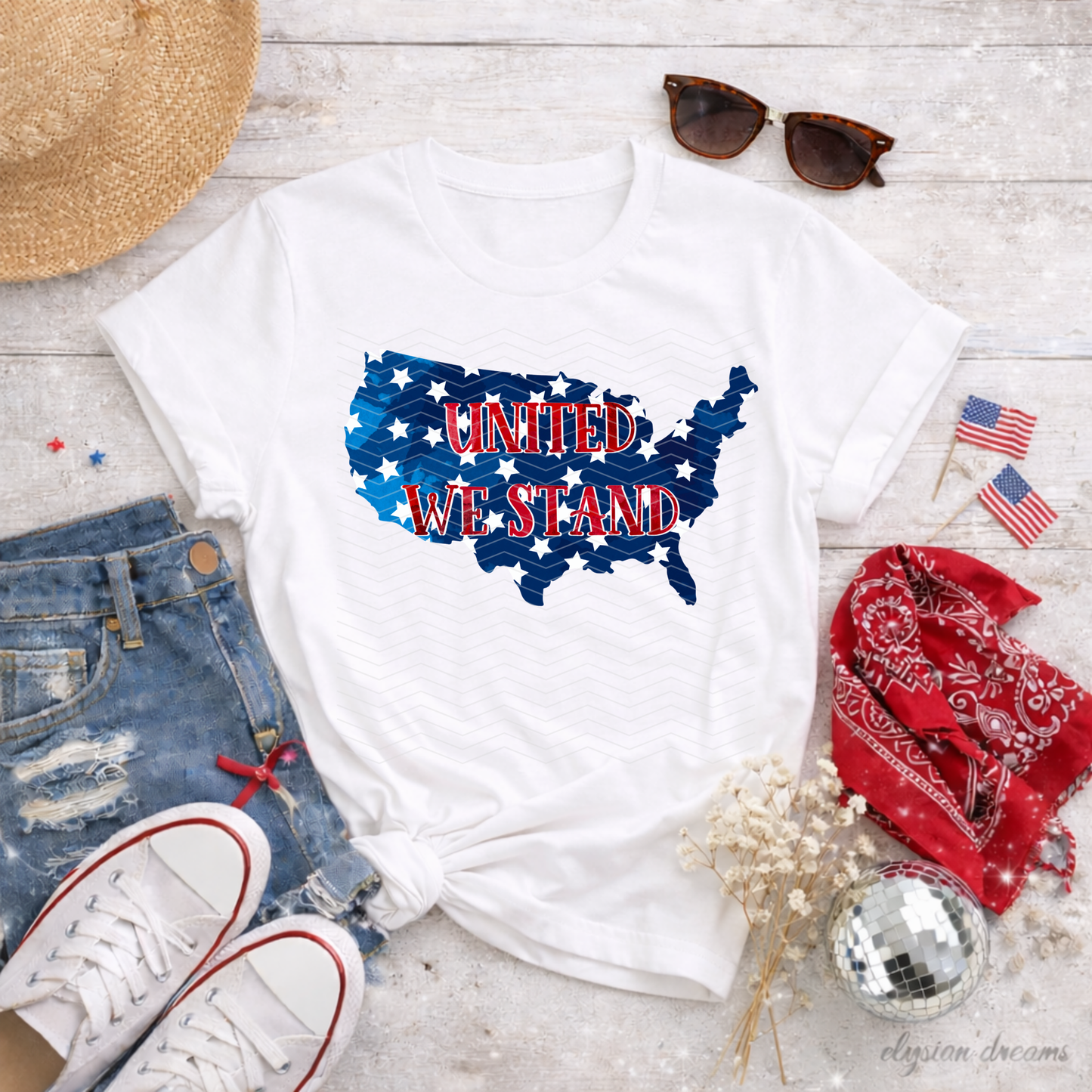 United We Stand Star Map DTF TRANSFER