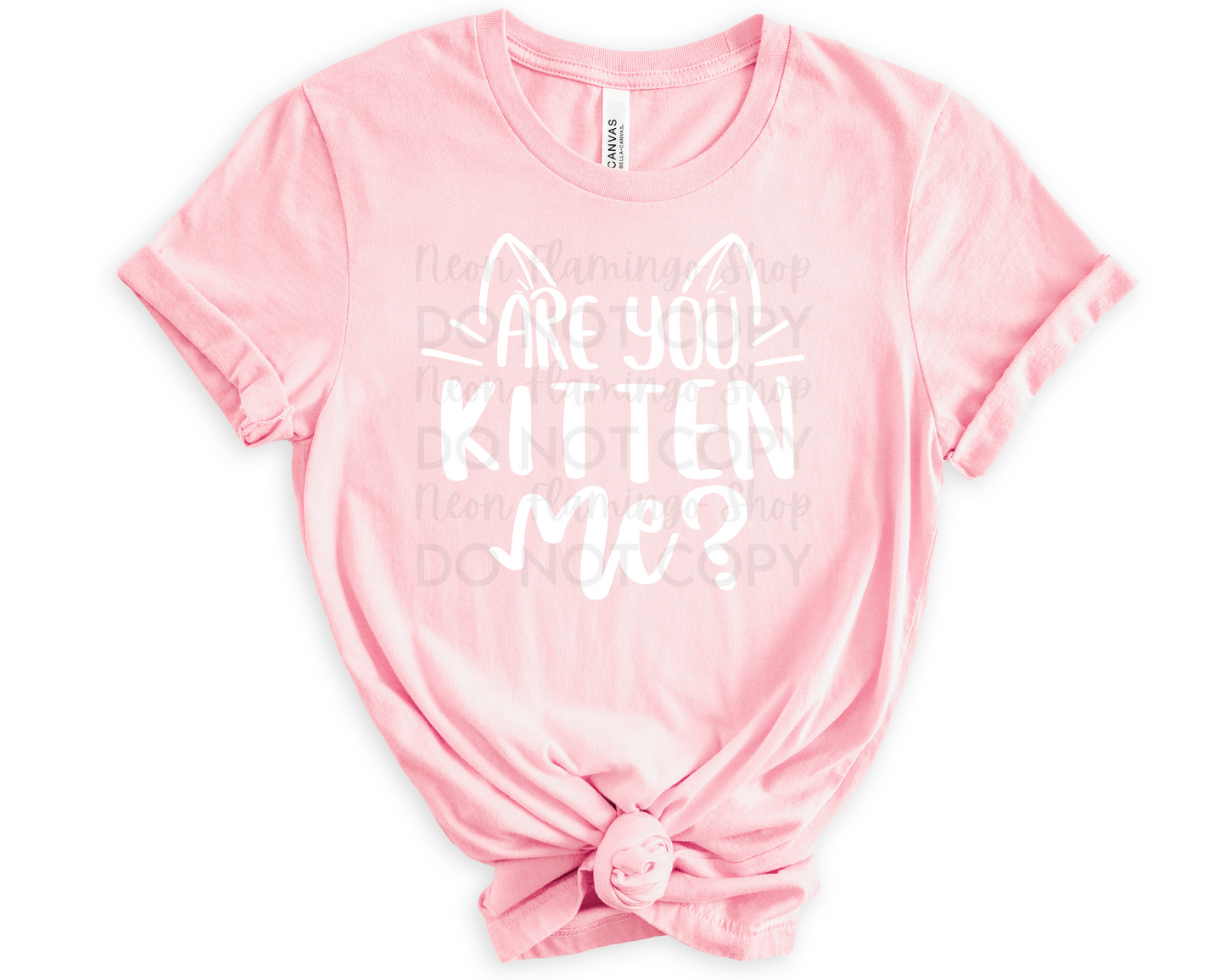 Are You Kitten me