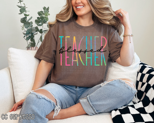 Blessed Teacher Skinny Rainbow DTF TRANSFER