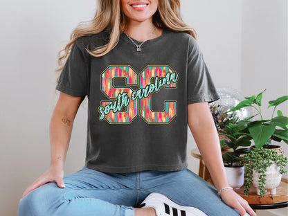 Brushstroke Dots South Carolina DTF TRANSFER
