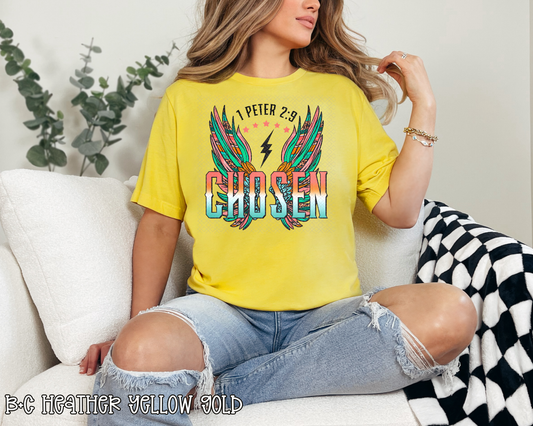 Chosen Retro Wings Serape DTF TRANSFER