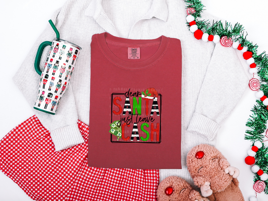 Dear Santa Just Leave Cash DTF TRANSFER