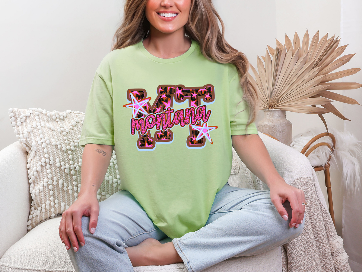 Doodle Stars mt montana DTF TRANSFER