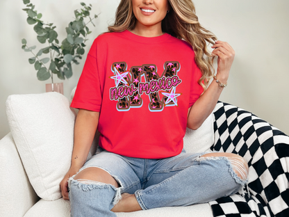 Doodle Stars nm new mexico DTF TRANSFER