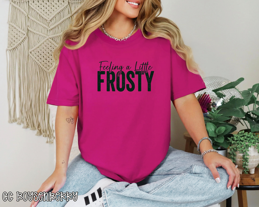 Feeling A Little Frosty DTF TRANSFER