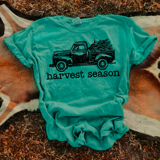 Harvest Season DTF TRANSFER