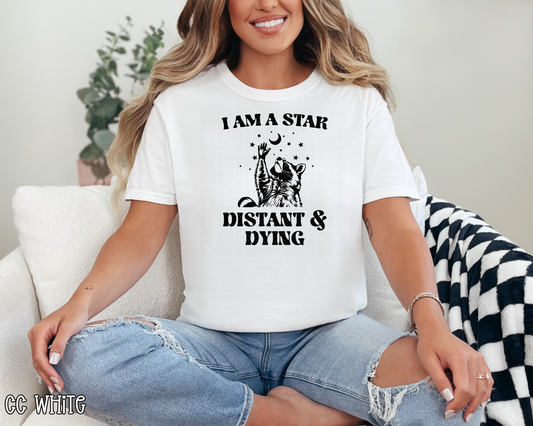 I Am A Star Distant & Dying Raccoon DTF TRANSFER