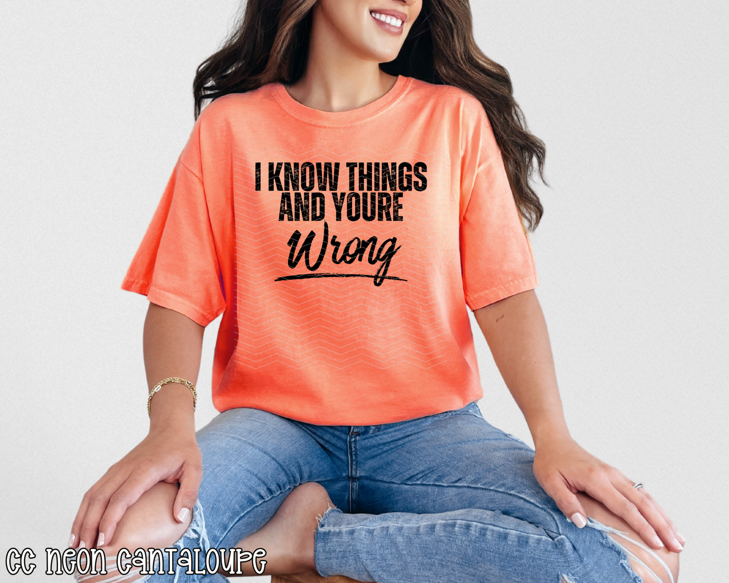 I Know Things And You're Wrong DTF TRANSFER
