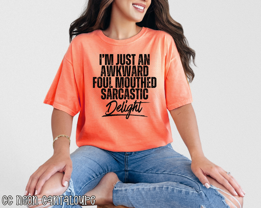 I'm Just An Awkward Foul Mouthed Sarcastic Delight