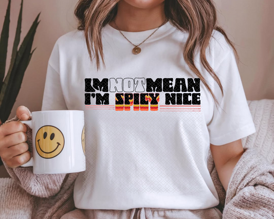 I'm Not Mean I'm Spicy Nice DTF TRANSFER