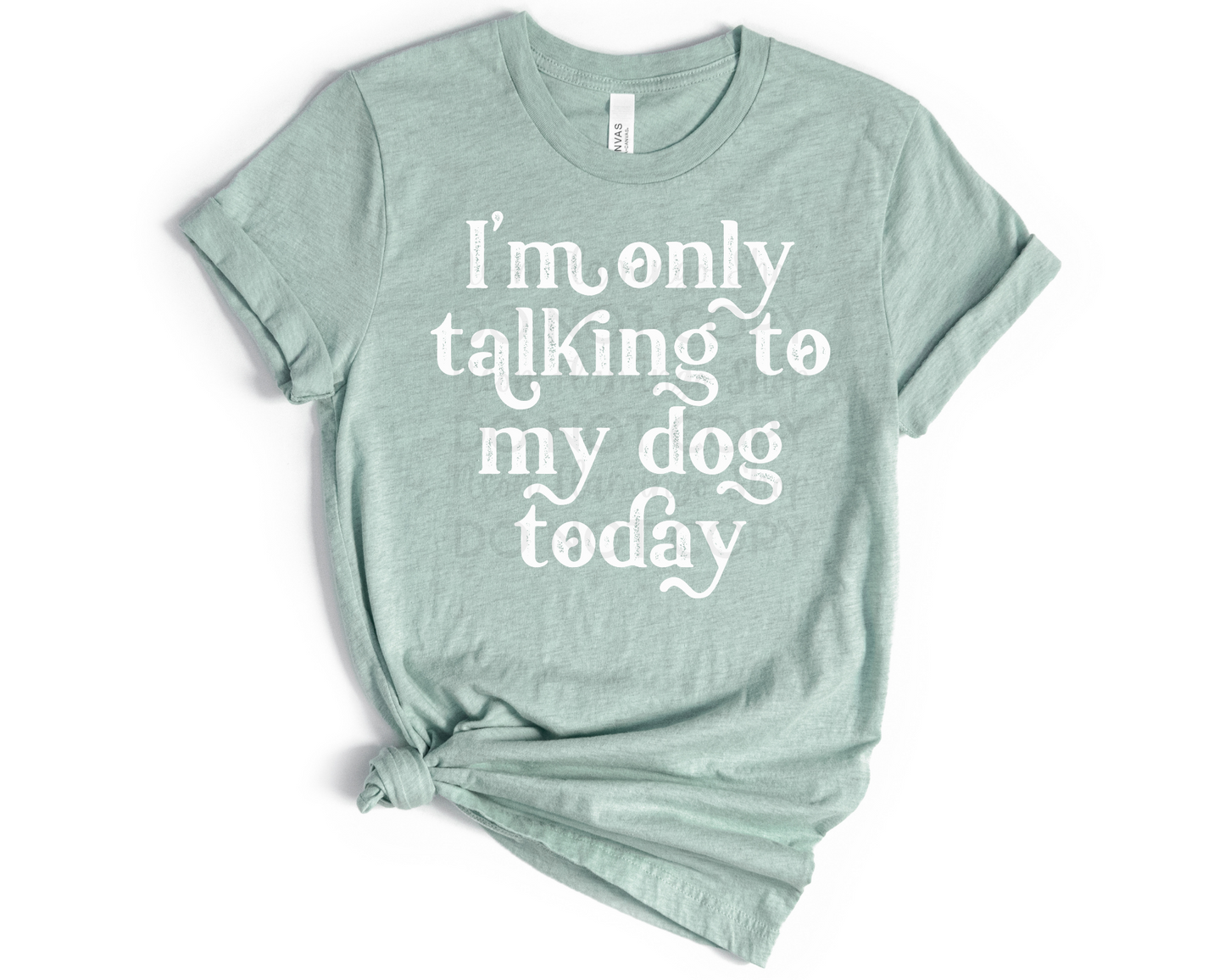 I'm Only Talking to my Dog Today