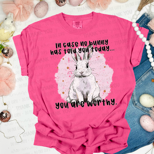 In Case No Bunny Has Told You Today You Are Worthy DTF TRANSFER