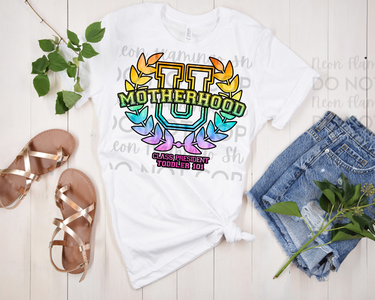 Motherhood University Toddler 101 | Multiple Colors | DTF TRANSFER