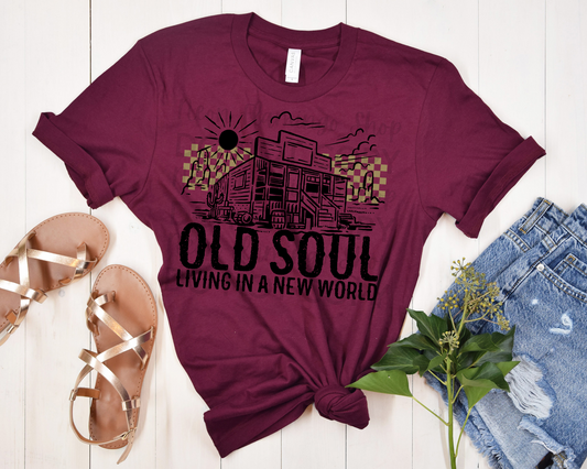 Old Soul Living in a New World