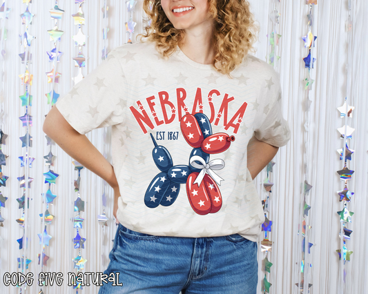PBD Nebraska DTF TRANSFER
