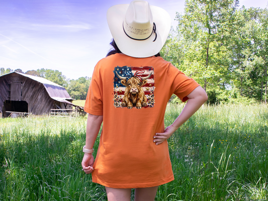 Patriotic Flag HIghland Cow DTF TRANSFER