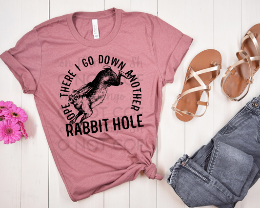 Rabbit Hole