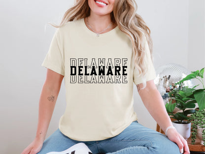 Single Color Stacked Delaware DTF TRANSFER