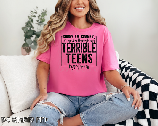 Sorry I'm Cranky I'm Going Through My Terrible Teens DTF TRANSFER
