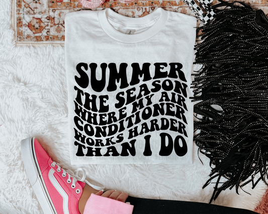 Summer The Season Where My AC Works Harder Than I Do