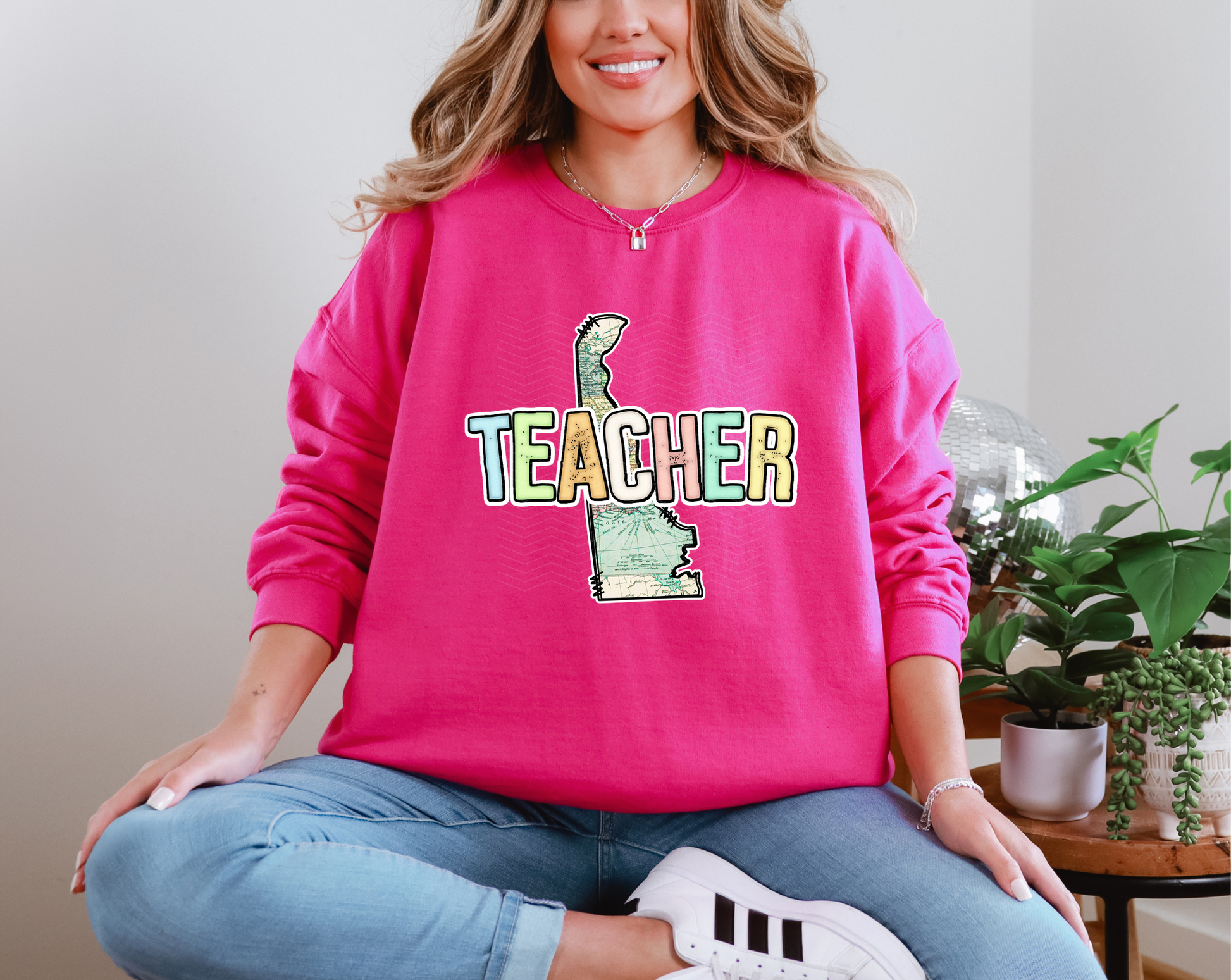 Teacher State Delaware DTF TRANSFER